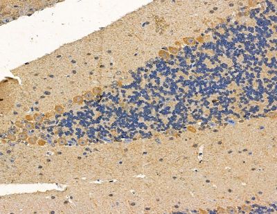 Валидация Affinity DF9862 - 22786