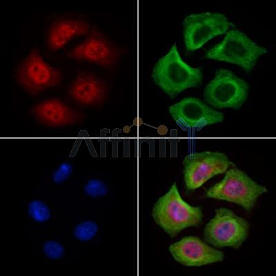 Валидация Affinity AF6484 - 3813