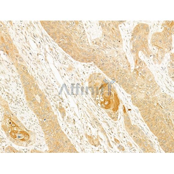 Валидация Affinity DF2554 - 13221