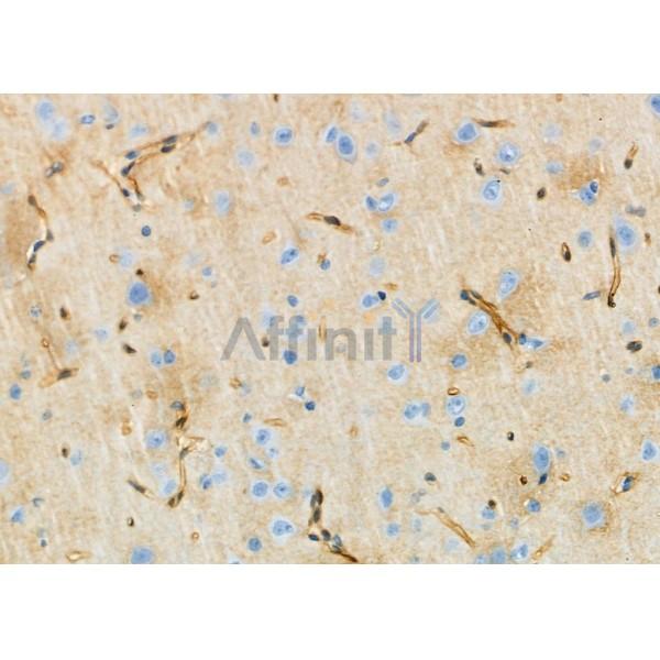 Валидация Affinity DF2600 - 13288