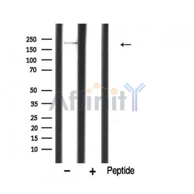 Валидация Affinity AF5314 - 2872