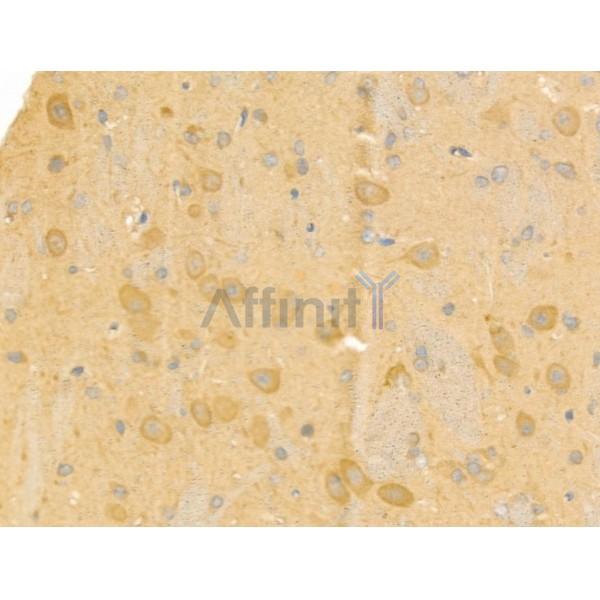 Валидация Affinity AF3901 - 2049