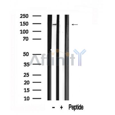 Валидация Affinity AF7572 - 4236