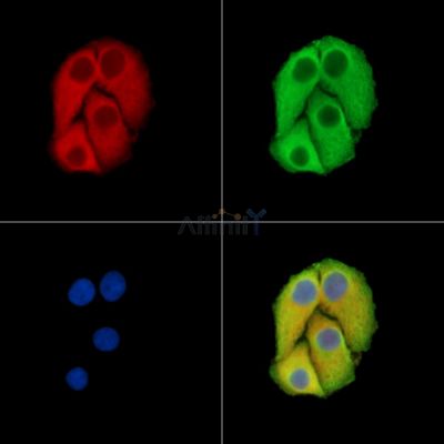 Валидация Affinity DF15357 - 11663