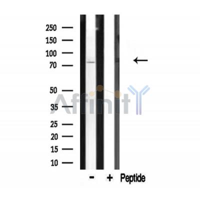 Валидация Affinity DF3534 - 14475