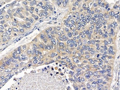 Валидация Affinity DF4302 - 15723