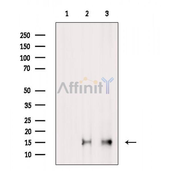 Валидация Affinity DF7252 - 18910