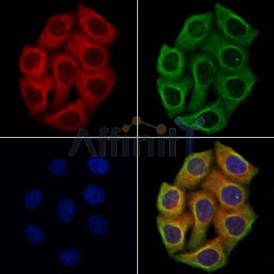 Валидация Affinity DF9958 - 22979