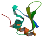 Peroxisome Proliferator Activated Receptor Gamma Coactivator Related Protein 1 (PPRC1) Peroxisome Proliferator Activated Receptor Gamma Coactivator Related Protein 1 (PPRC1)
