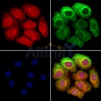 Валидация Affinity DF6420 - 17791