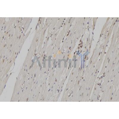 Валидация Affinity DF9404 - 21953