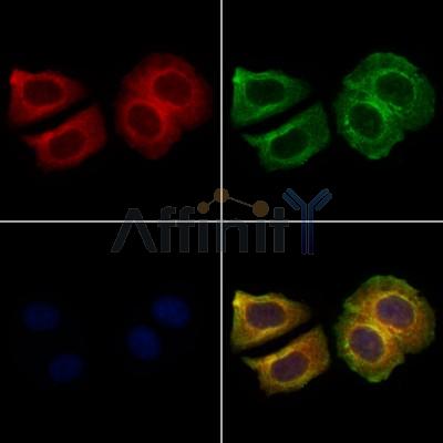 Валидация Affinity DF6394 - 17758