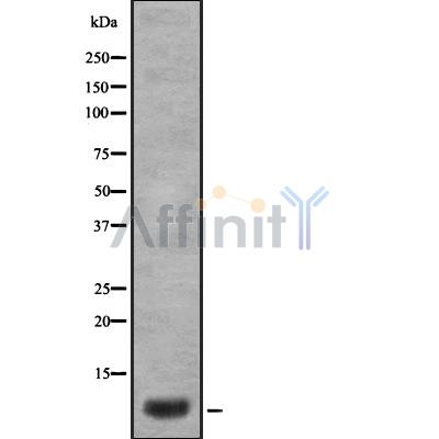 Валидация Affinity DF8528 - 20403