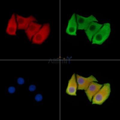 Валидация Affinity DF14610 - 10630