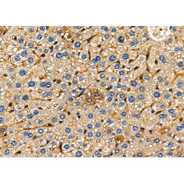 Валидация Affinity AF9069 - 4828