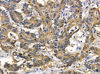 Валидация Affinity DF9264 - 21705