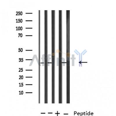 Валидация Affinity DF4836 - 16600