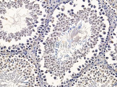 Валидация Affinity DF13475 - 8836