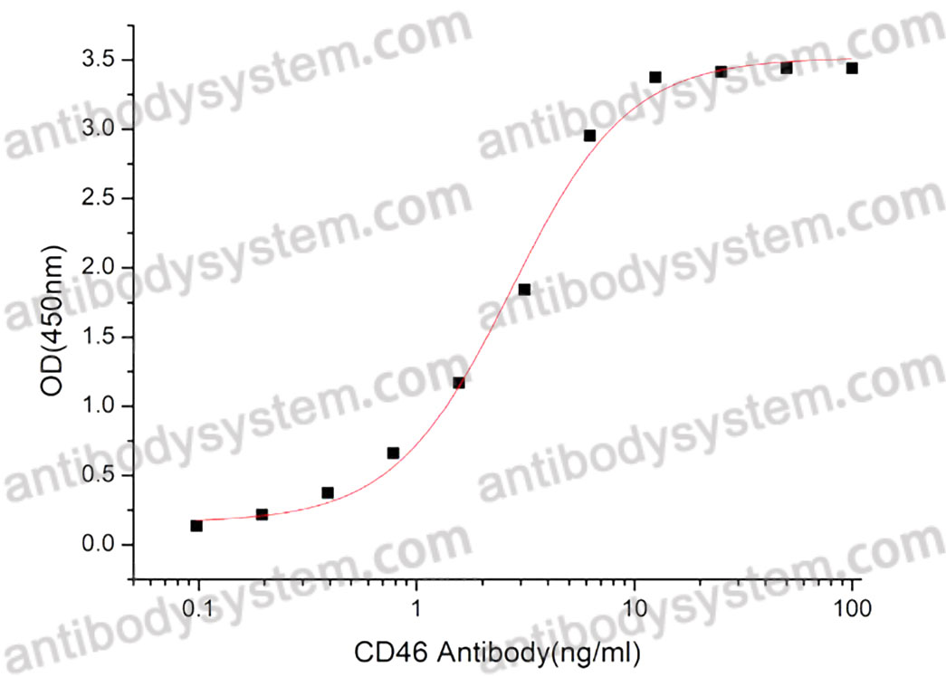Валидация активности AntibodySystem AHD11901