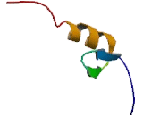 Zinc Finger Protein 200 (ZNF200)