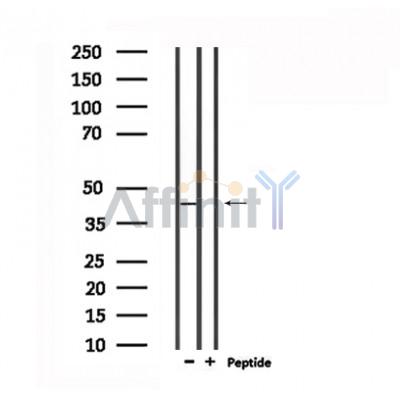 Валидация Affinity DF6460 - 17848