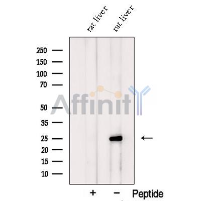 Валидация Affinity DF12711 - 7375