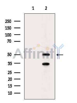 Валидация Affinity DF6188 - 17439