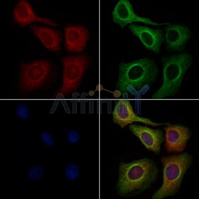 Валидация Affinity DF13401 - 8677