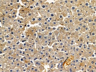 Валидация Affinity DF9191 - 21570