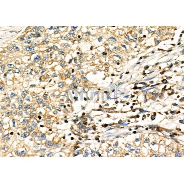 Валидация Affinity DF6789 - 18358