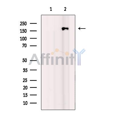 Валидация Affinity AF7915 - 4661