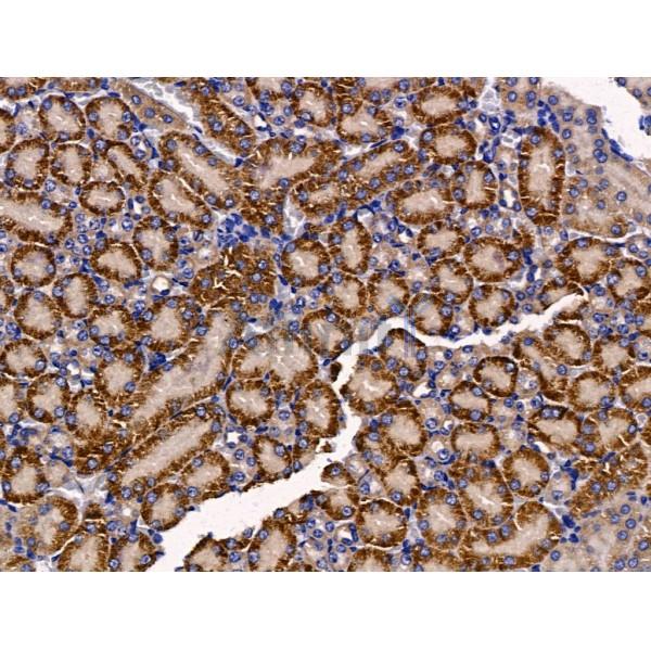 Валидация Affinity DF13470 - 8826