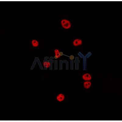 Валидация Affinity DF3158 - 13959