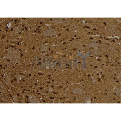 Валидация Affinity DF6524 - 17941