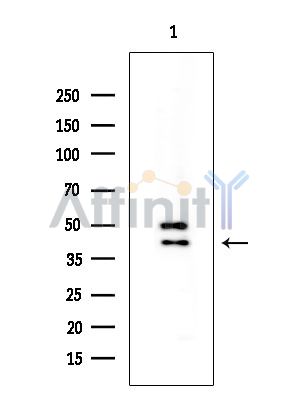 Валидация Affinity DF5013 - 16886