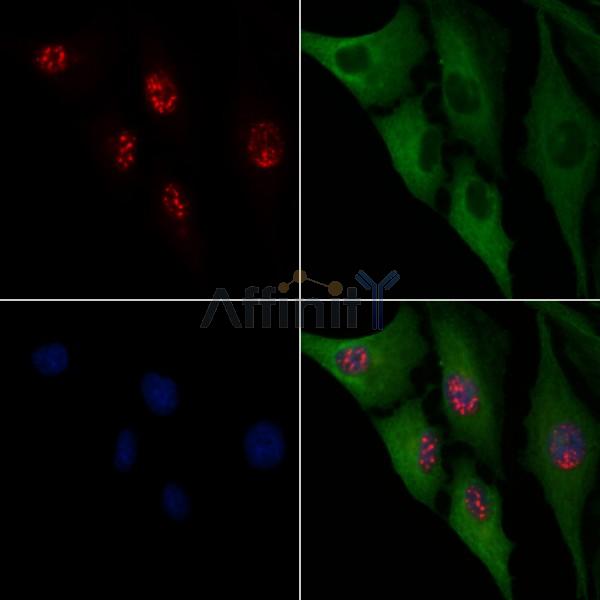 Валидация Affinity DF6331 - 17662