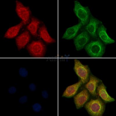 Валидация Affinity AF6893 - 4100