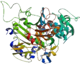 Acyl Coenzyme A Synthetase Long Chain Family, Member 6 (ACSL6)