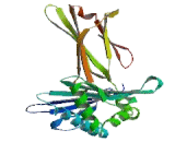Fc Fragment Of IgG Receptor Transporter Alpha (FcgRT) Fc Fragment Of IgG Receptor Transporter Alpha (FcgRT)