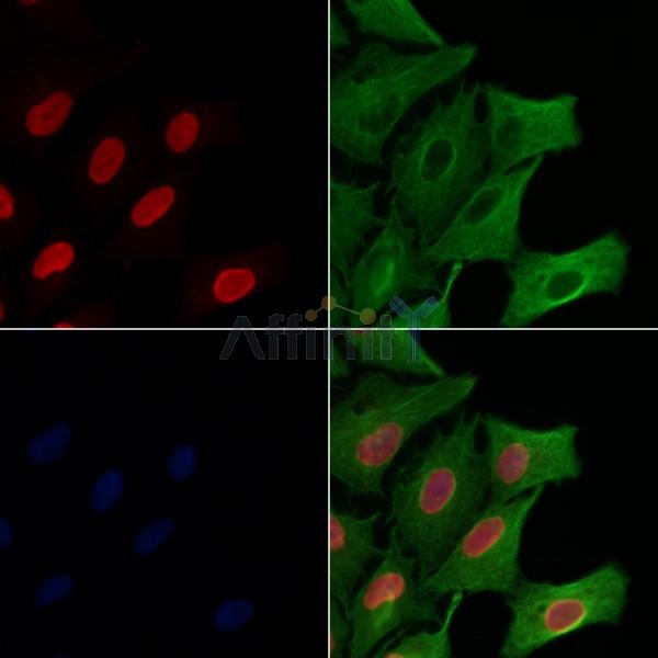 Валидация Affinity AF6753 - 4002