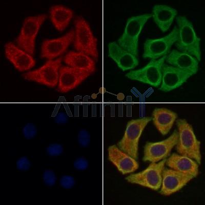 Валидация Affinity DF7832 - 19642