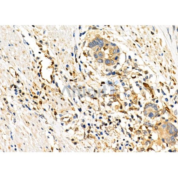 Валидация Affinity DF6059 - 17270