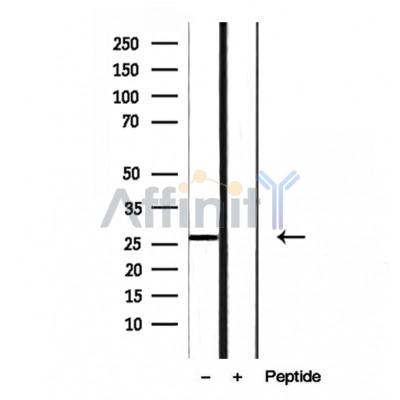 Валидация Affinity DF12060 - 6119