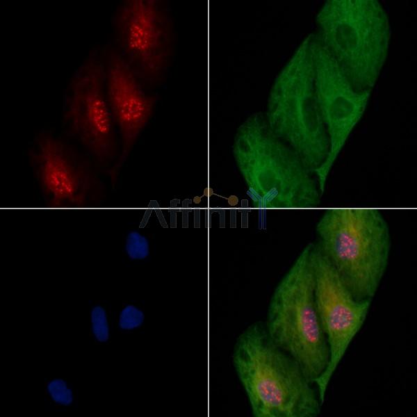 Валидация Affinity AF7948 - 4703