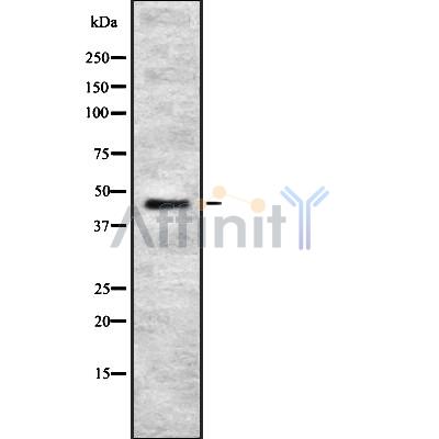 Валидация Affinity DF8712 - 20708