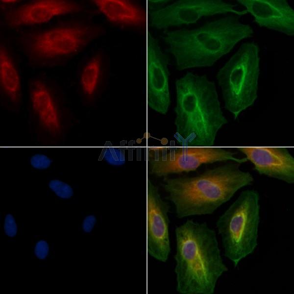 Валидация Affinity DF8087 - 19929