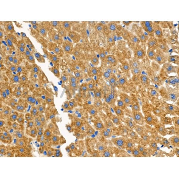 Валидация Affinity DF3988 - 15220