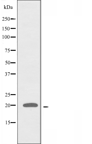 Валидация Affinity DF3807 - 14926