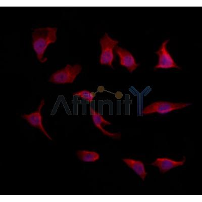 Валидация Affinity DF12220 - 6500