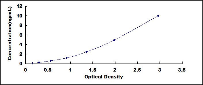 34504